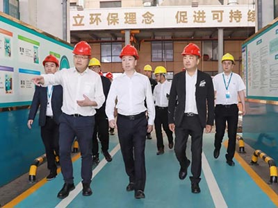 启发合作 共赢发展｜热烈迎接文成县县长罗招政一行光临集团调查调研